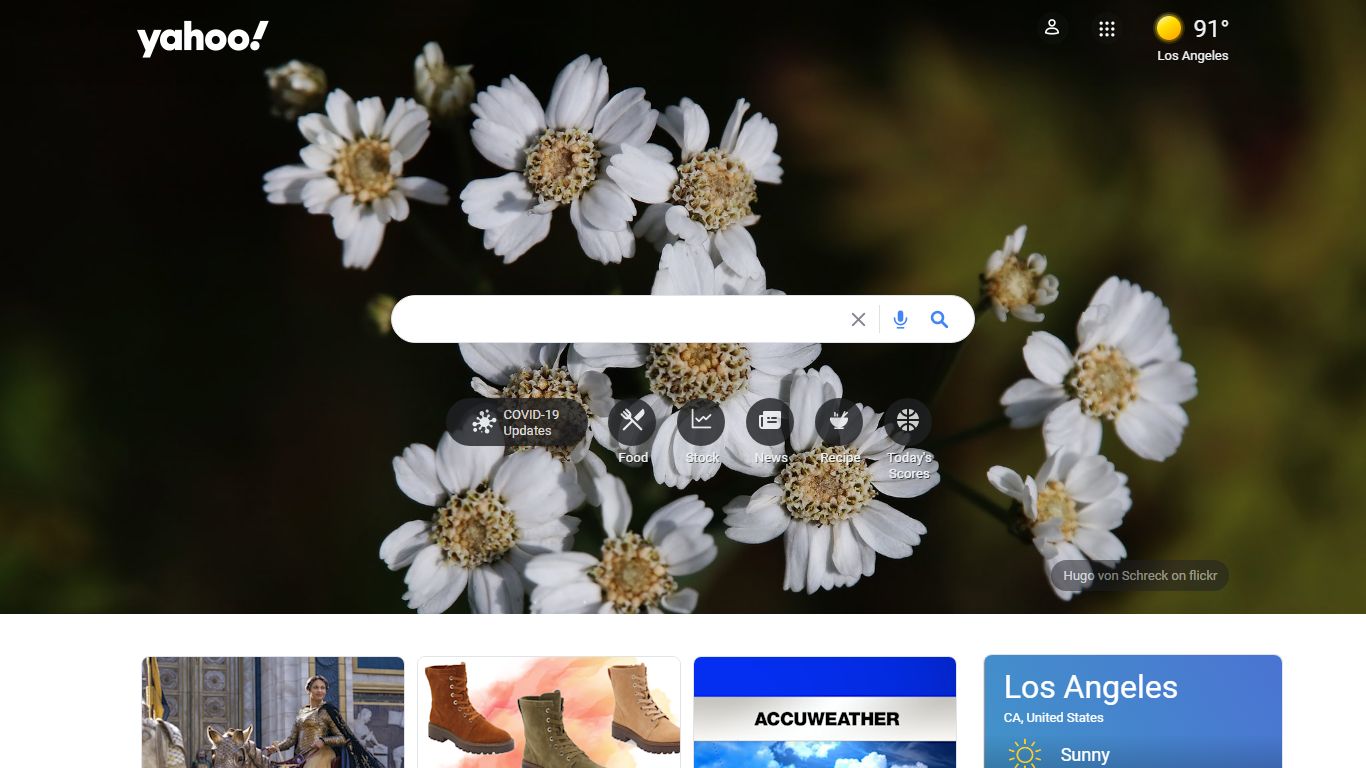 Yahoo Search - Web Search